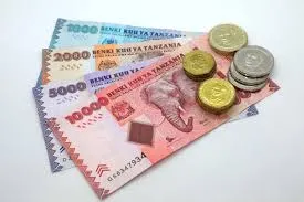 How is Tanzania Currency